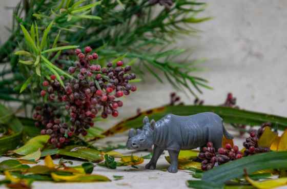 rhino figurine